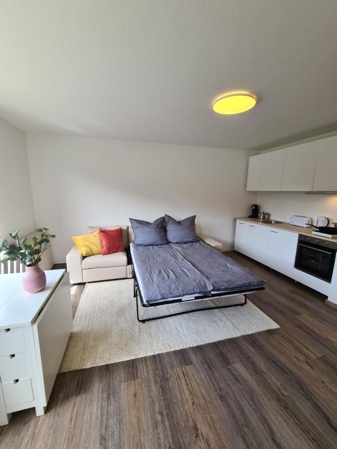 Ferienwohnung Seeblick Winterberg Ngoại thất bức ảnh